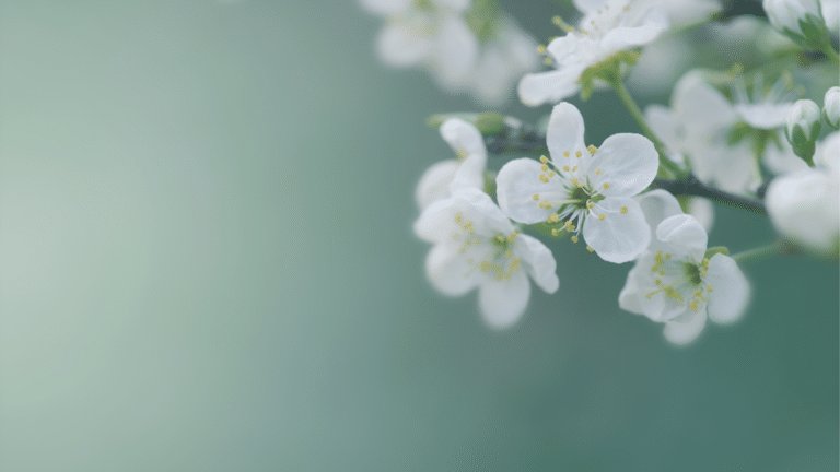 Ballast loslassen: Einfaches Ritual für den Frühling